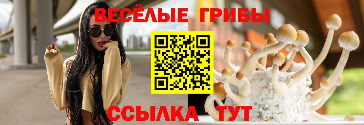 Псилоцибиновые грибы мухоморы Орехово-Зуево